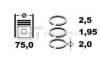 PEUGE 0640W5 Piston Ring Kit